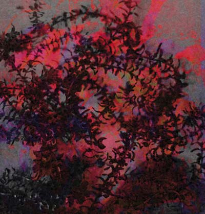 If I Love You Vinyl Record