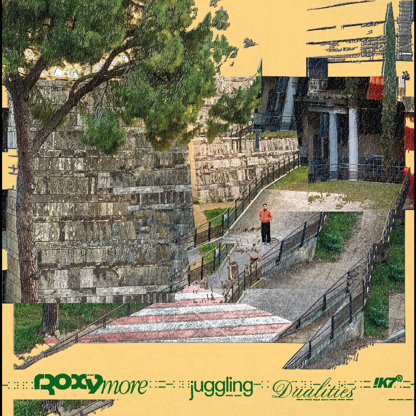 Juggling Dualities Vinyl Record