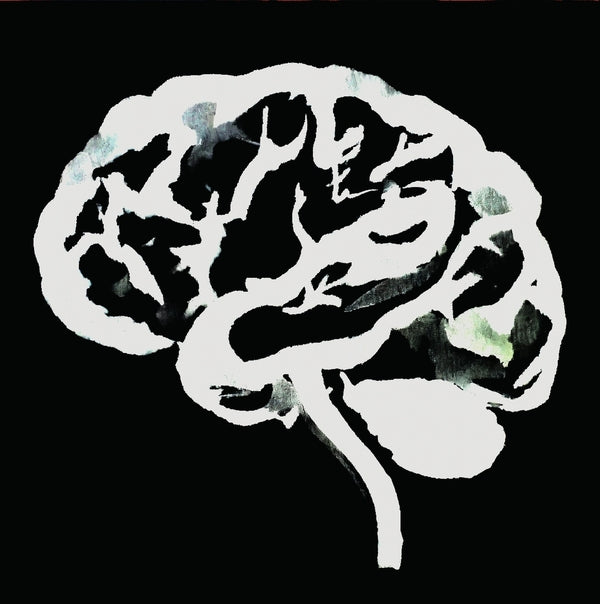 Ruins - Brain Flakes (The Lost Combo Tapes) Vinyl Record