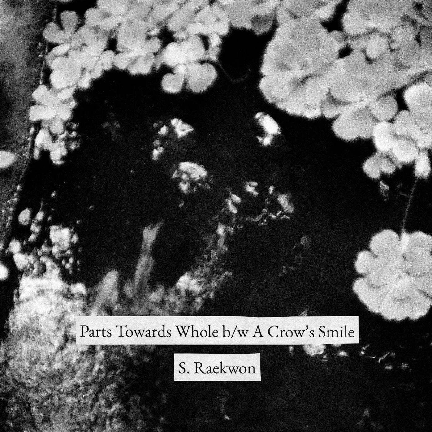 S. Raekwon - Parts Towards Whole b/w A Crow's Smile Vinyl Record
