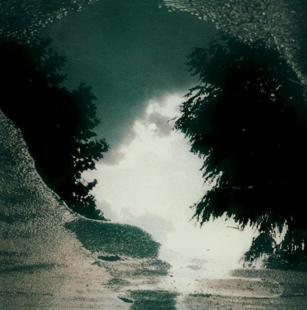 Feeding The Flame Vinyl Record