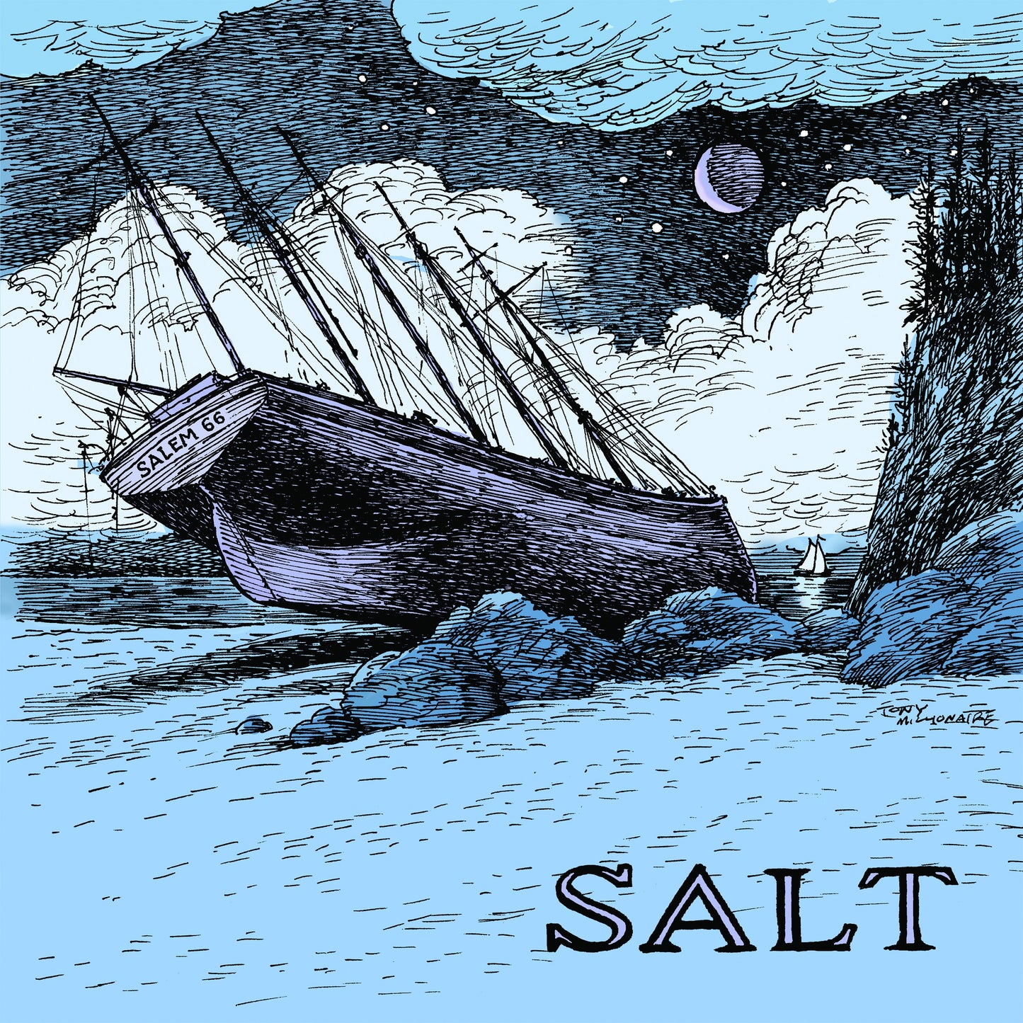 Salt Music CD