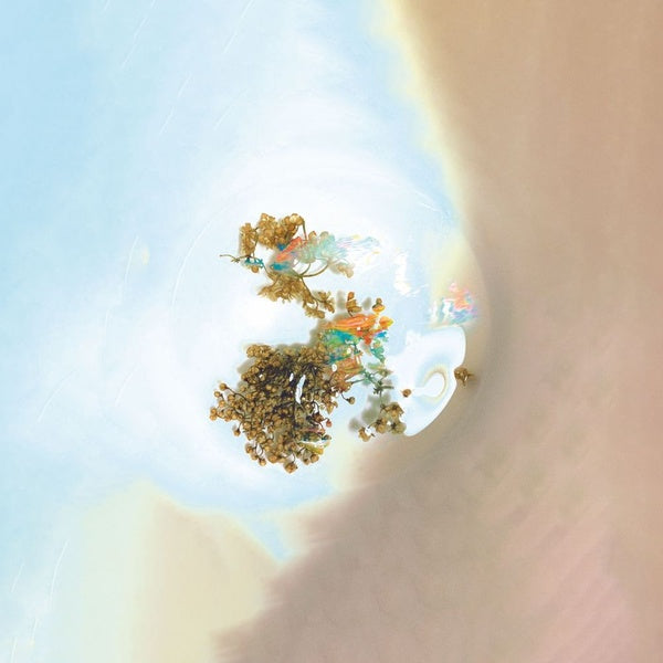 SAM GOKU - Things We See When We Look Closer Vinyl Record