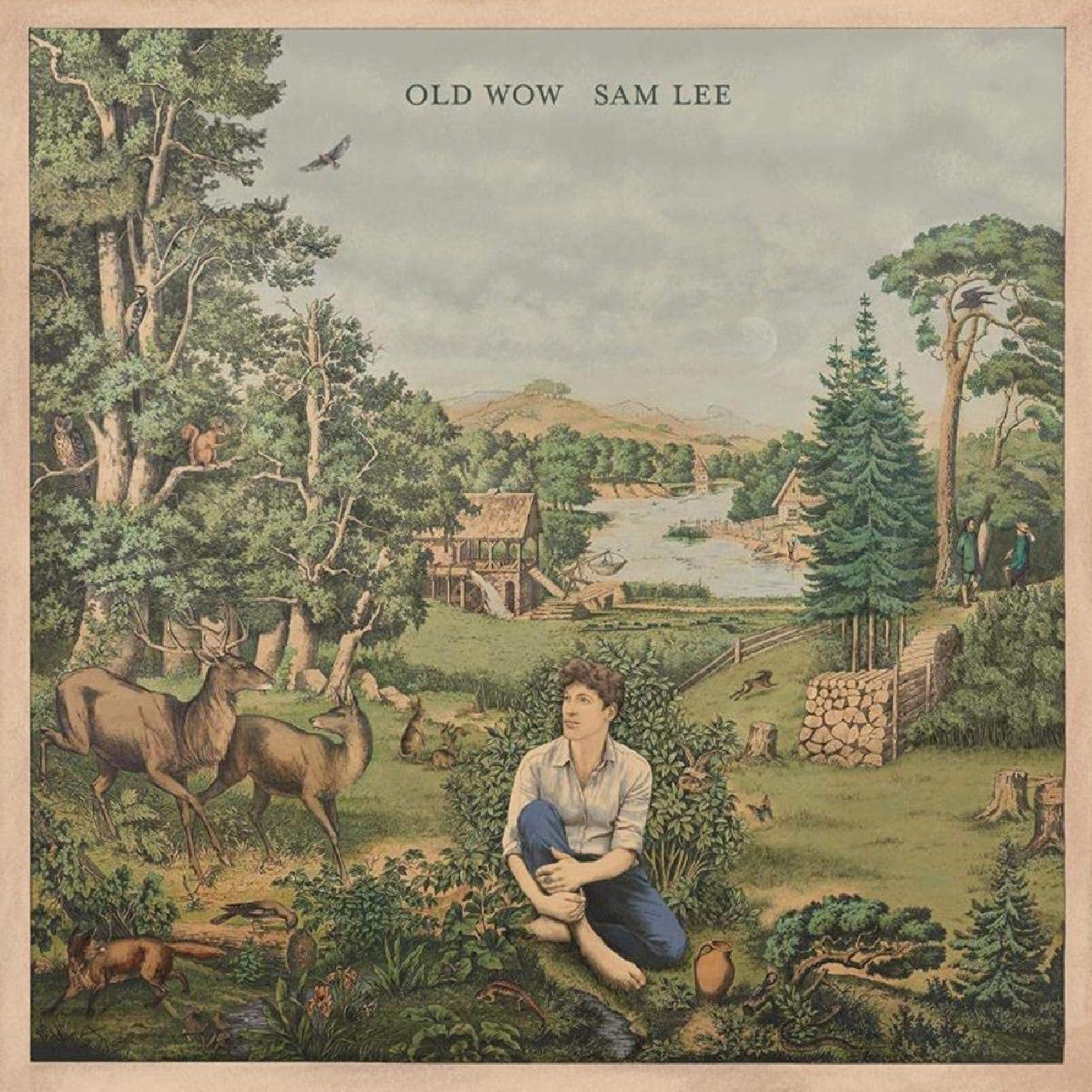 Old Wow Vinyl Record