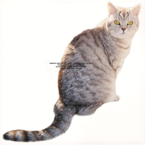 What I Am And What I'M Not Vinyl Record