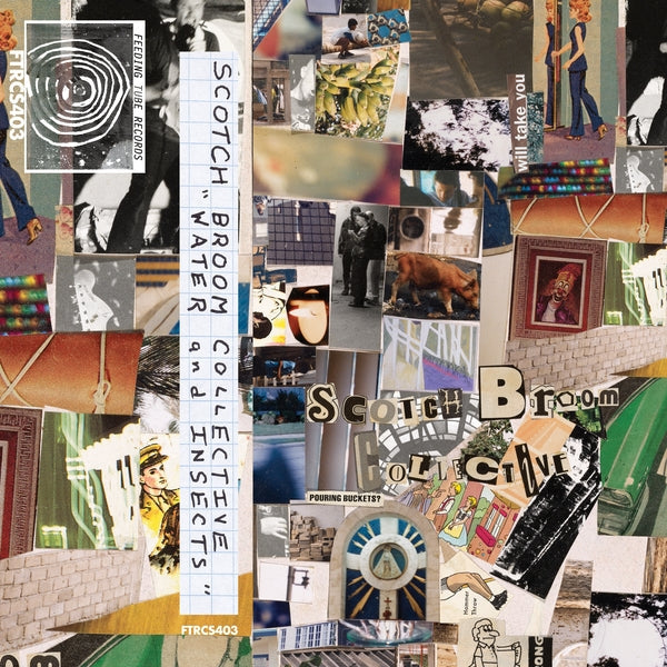 Insects & Water Cassette Tape