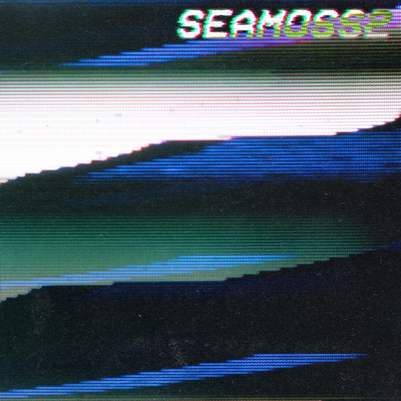 Sea Moss - SEAMOSS2 Cassette Tape