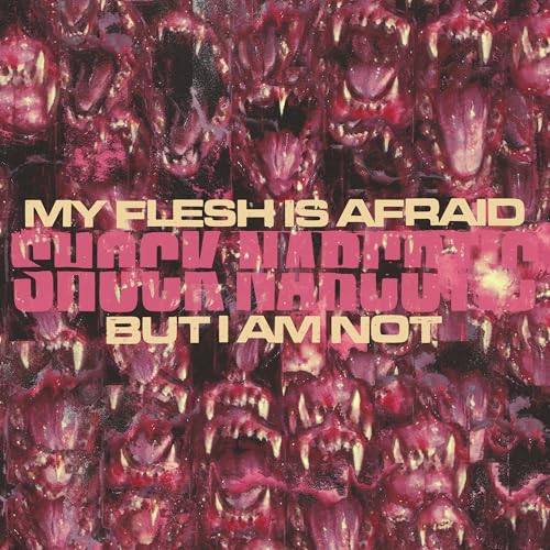 My Flesh Is Afraid But I Am Not *PRE-ORDER 7/18/25* Vinyl Record