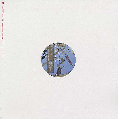 SOLOVYEV - Sonoplex Vinyl Record