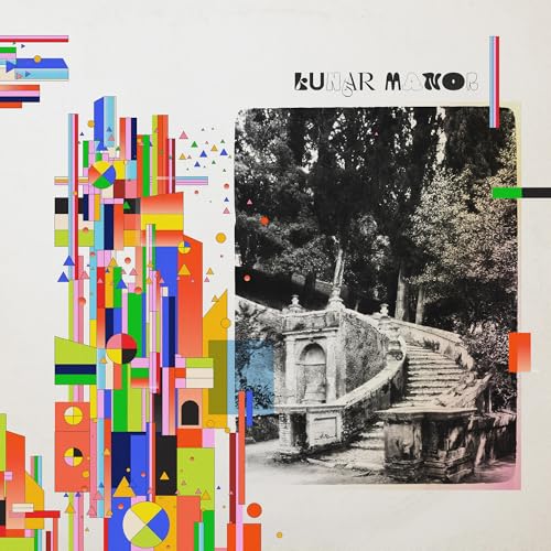 Lunar Manor Vinyl Record