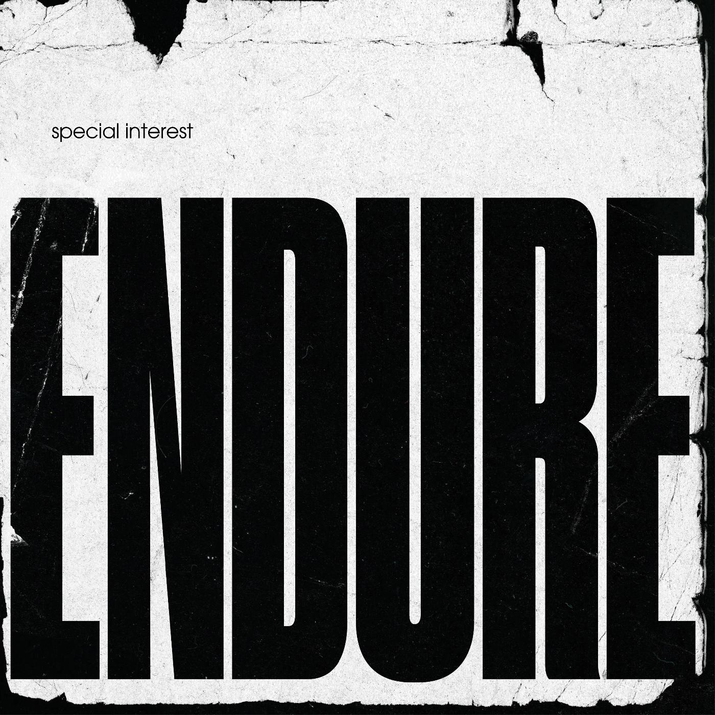 Endure Vinyl Record
