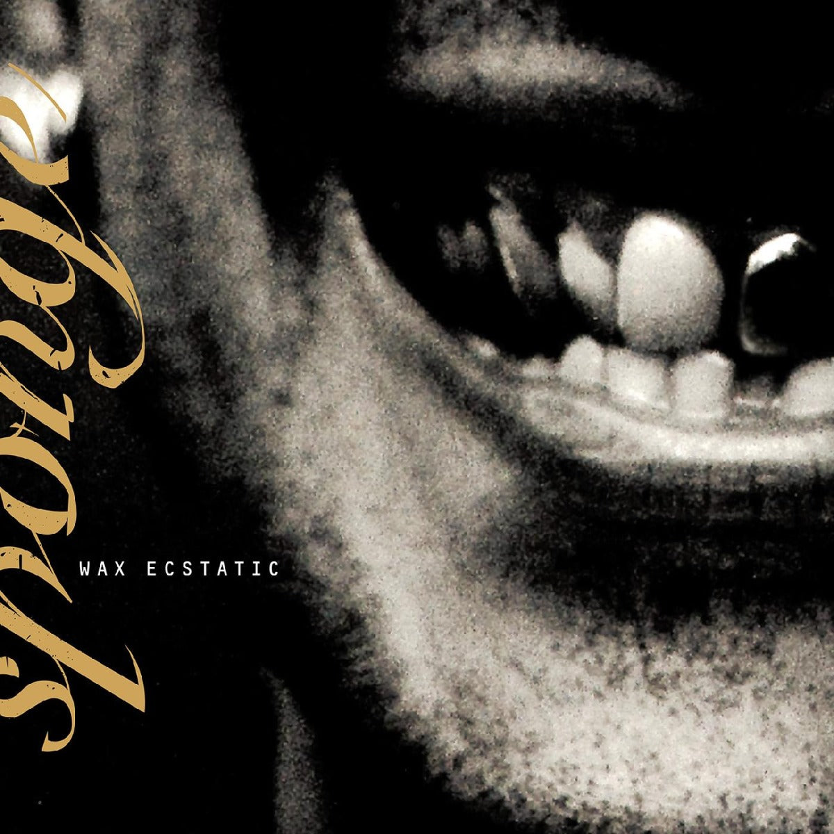 Wax Ecstatic (Galaxy Beer Colored Vinyl) Vinyl Record