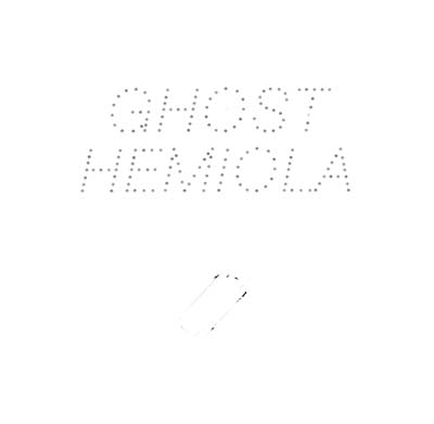 STEFAN GOLDMANN - Ghost Hemiola Vinyl Record