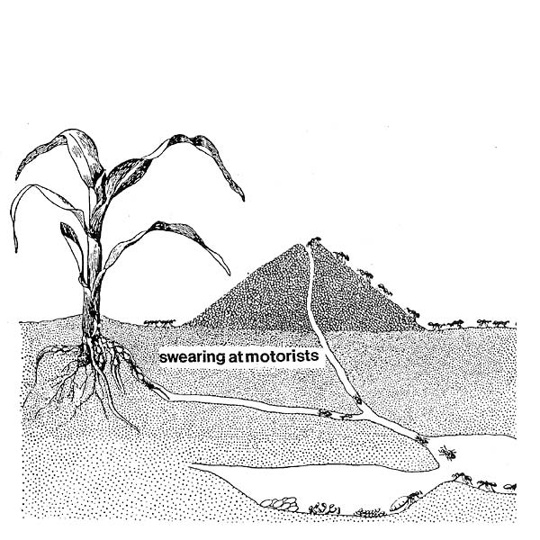 Swearing At Motorists Vinyl Record