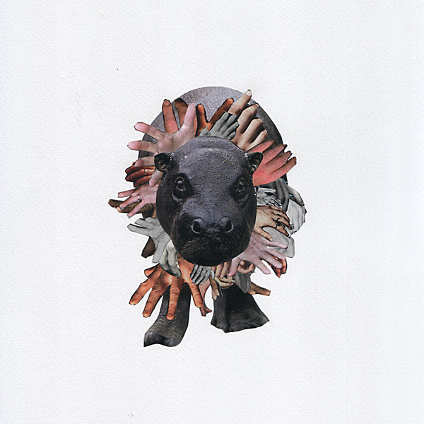 Please Let Me Sleep On Your Tonight Vinyl Record