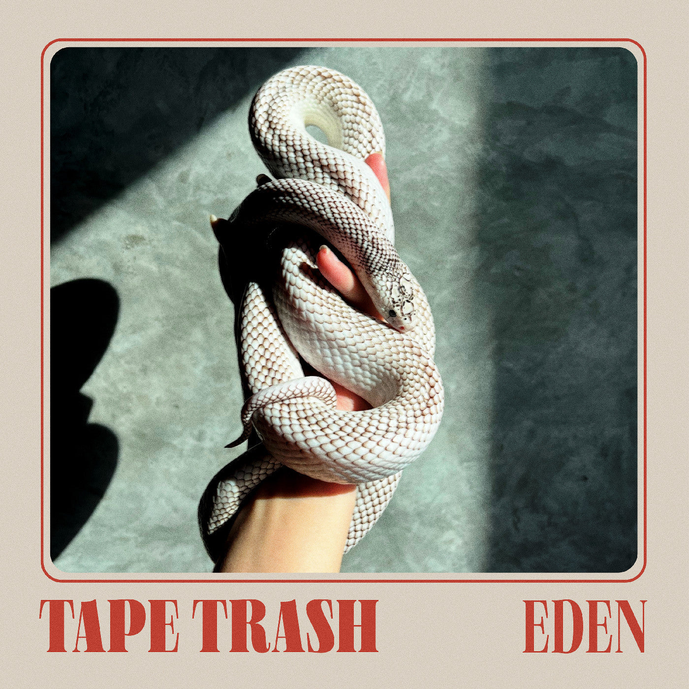Eden Vinyl Record
