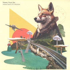 Adrian Snell LP Collection (2xVINYL) Vinyl Record