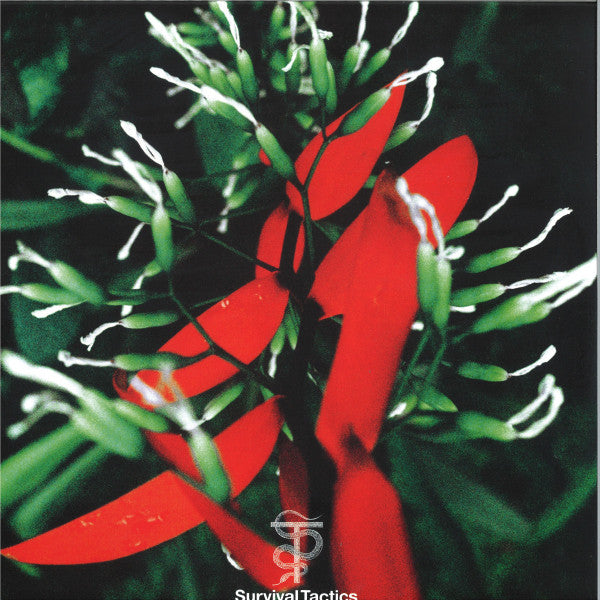 Everybody Vinyl Record