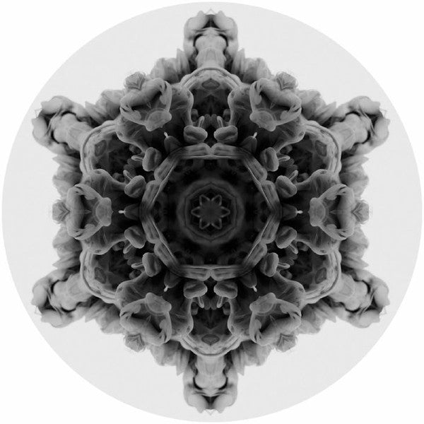 Moi (10) 12 12" Generic Vinyl Record