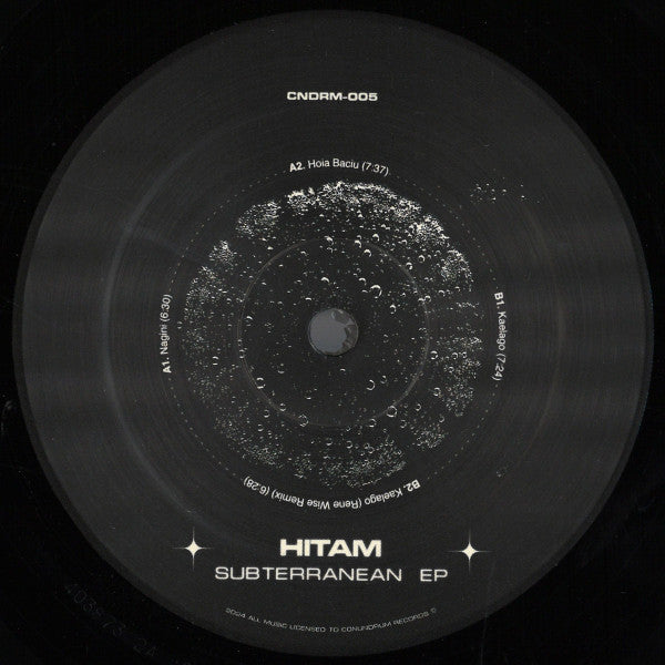 Subterranean Vinyl Record