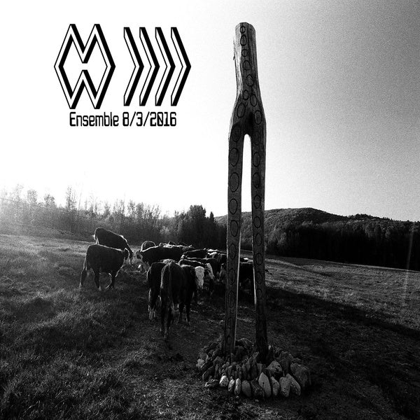 Ensemble 8/3/2016 Vinyl Record