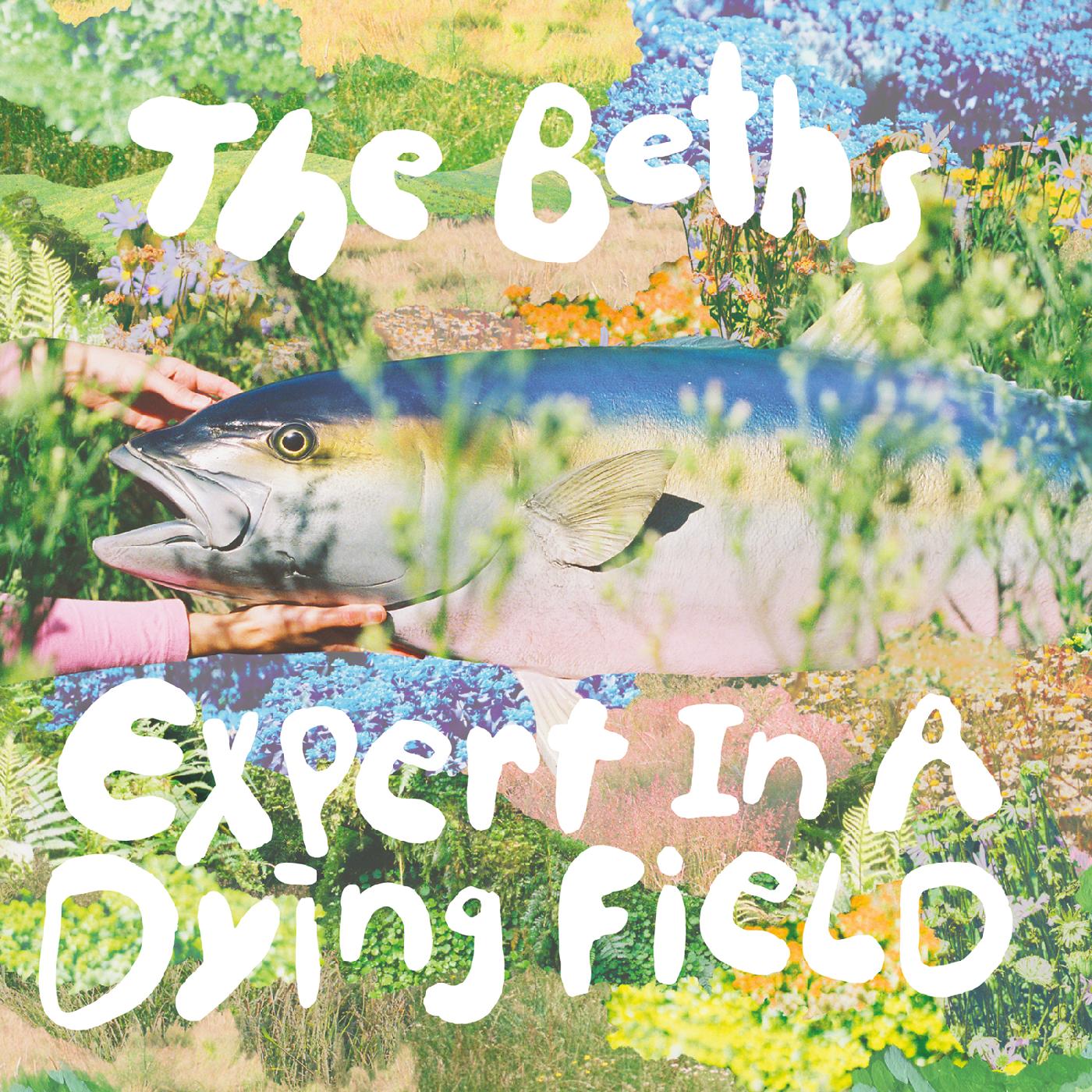 The Beths - Expert In A Dying Field Music Cassette Tape