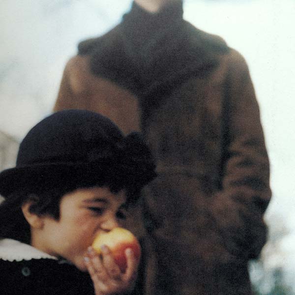 A Sea of Trees Music CD