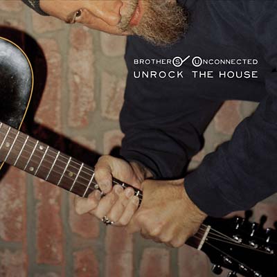 Unrock the House Vinyl Record