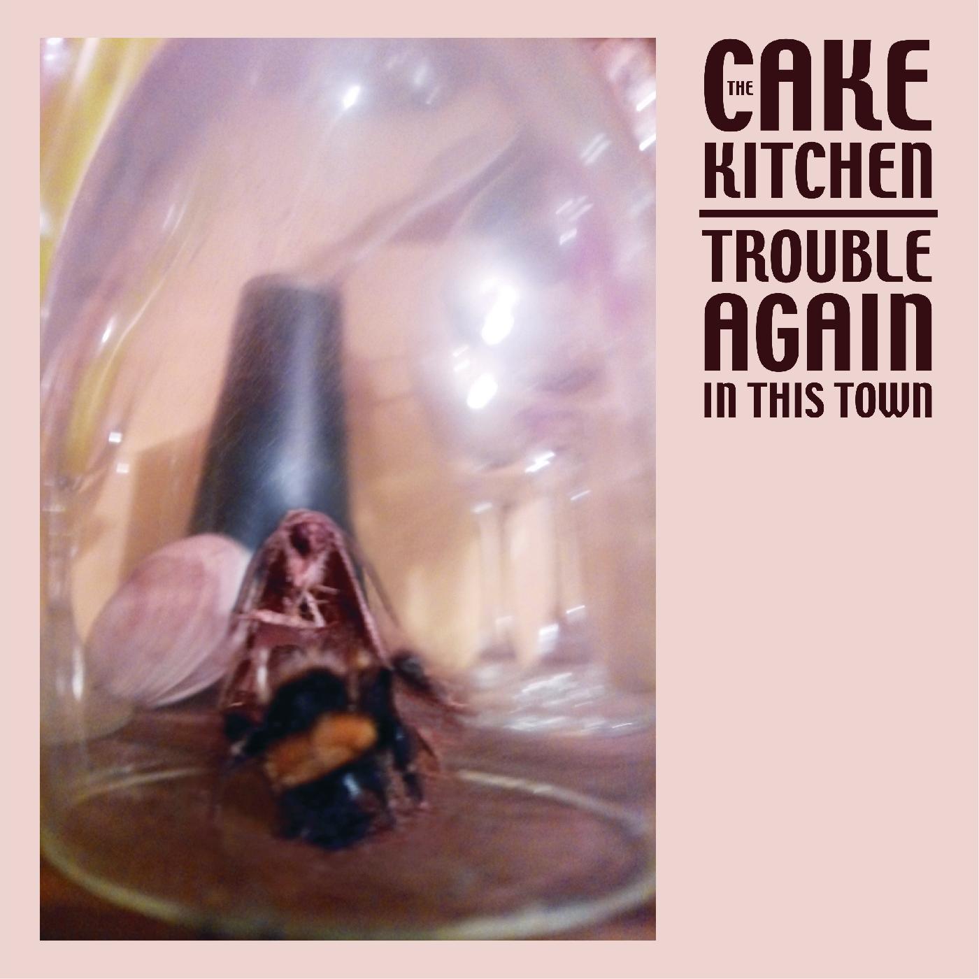 The Cakekitchen - Trouble Again In This Town Vinyl Record