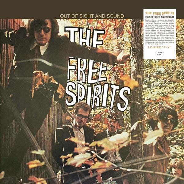 THE FREE SPIRITS - Out Of Sight And Sound Vinyl Record