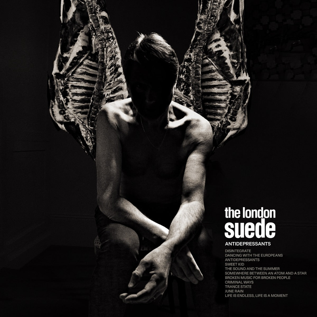 Antidepressants Vinyl Record