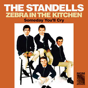 Zebra in the Kitchen / Someday You'll Cry Vinyl Record