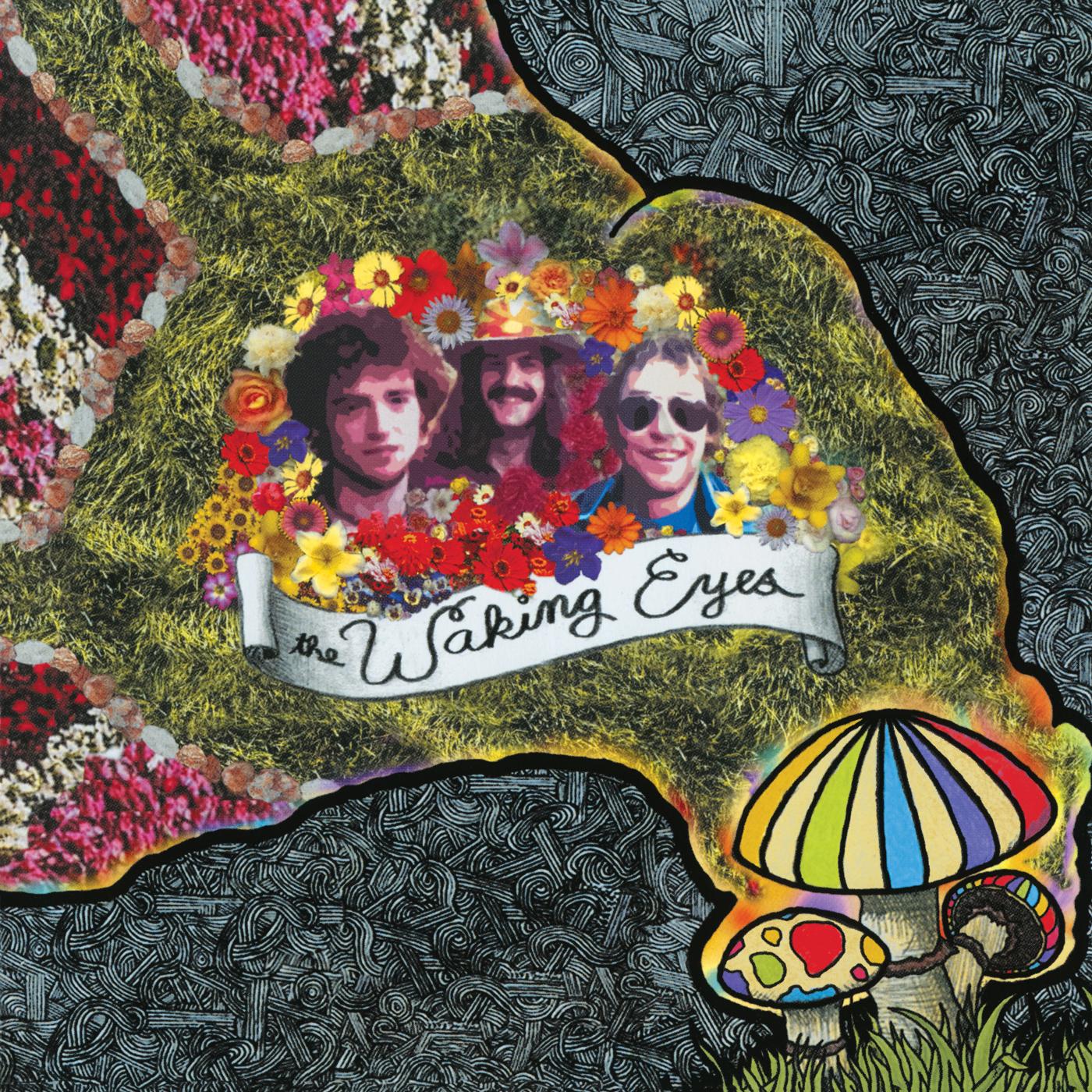 The Waking Eyes - Combing The Cloud Vinyl Record