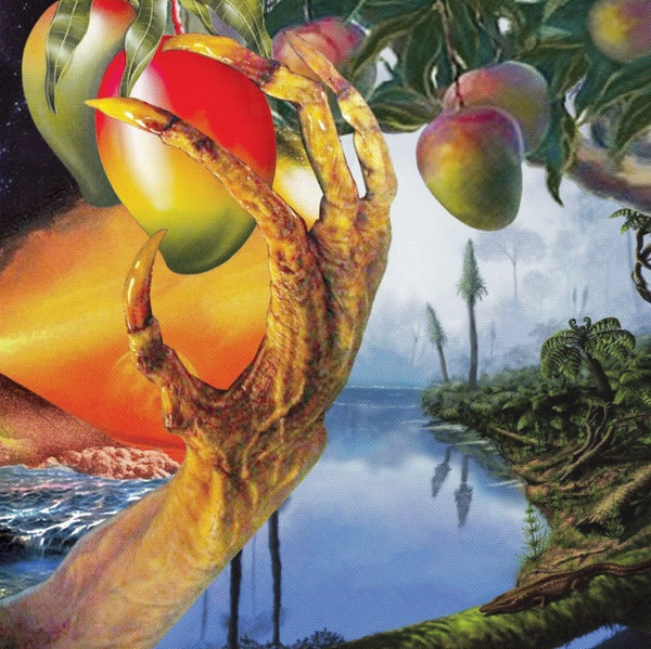 A Morphology Of Wonders Vinyl Record