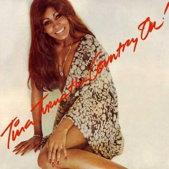 Tina Turns The Country On! Vinyl Record