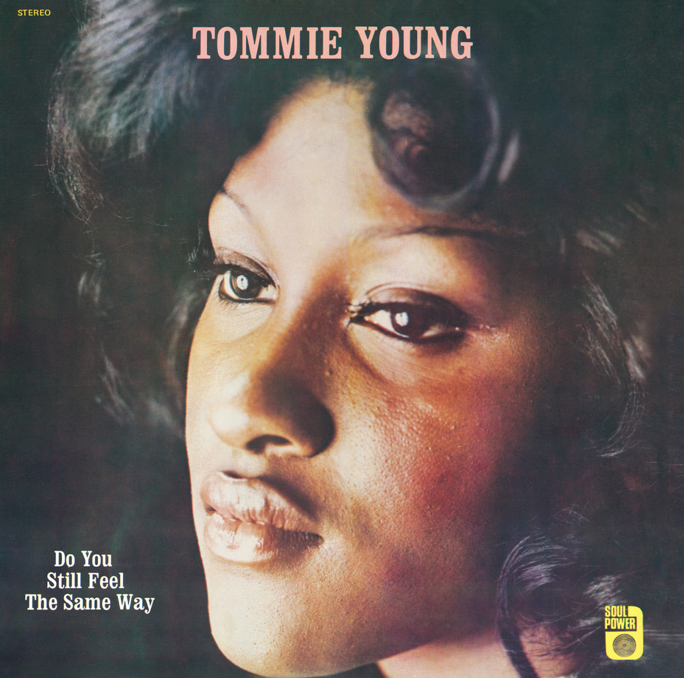 Do You Still Feel The Same Way Vinyl Record
