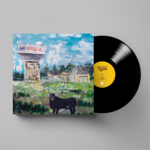 Toro y Moi - Sandhills Vinyl Record