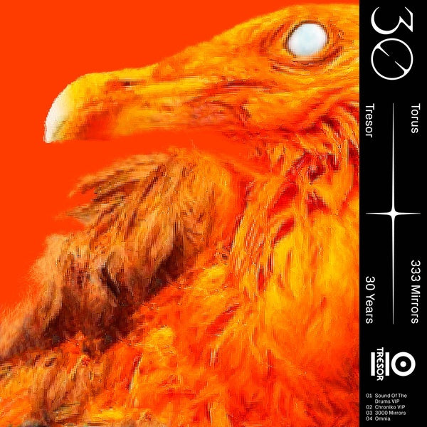 TORUS - 333 Mirrors Vinyl Record