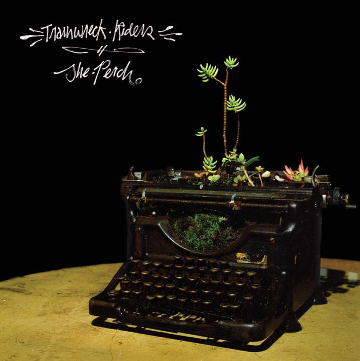 The Perch Music CD