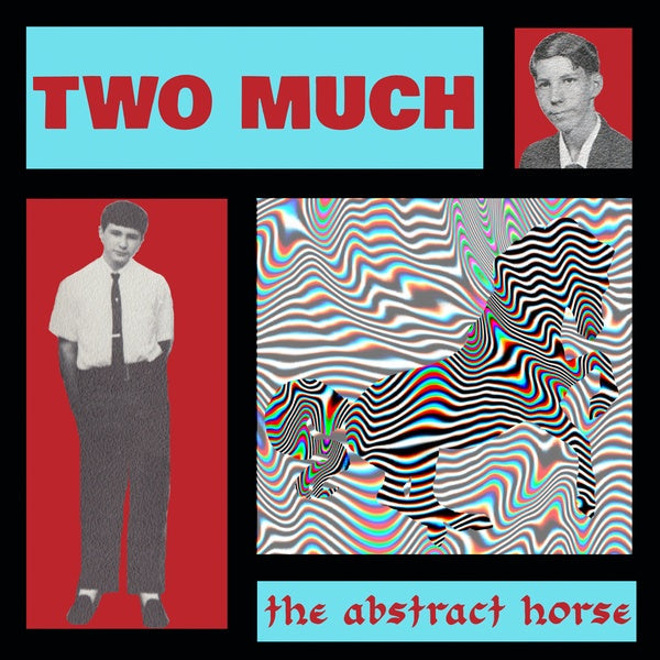 TWO MUCH - The Abstract Horse Vinyl Record