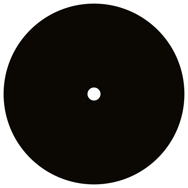 Untitled Vinyl Record