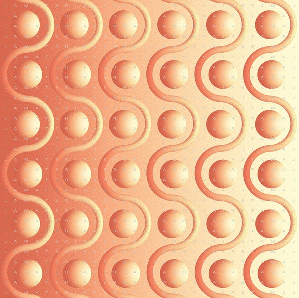 La Materia Verbal (The Verbal Matter: An Anthology of Peruvian Sound Poetry) Vinyl Record