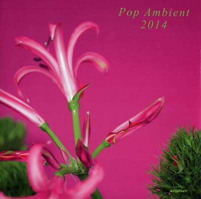 Pop Ambient 2014 Music CD