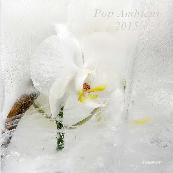 Pop Ambient 2015 Vinyl Record