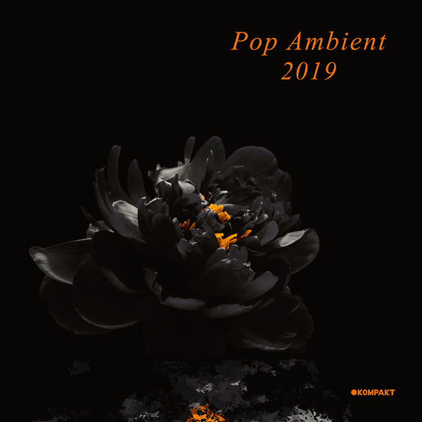 Pop Ambient 2019 Vinyl Record