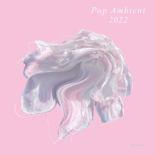 Pop Ambient 2022 Vinyl Record