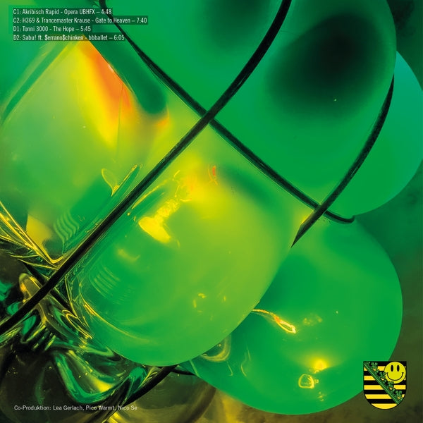 Va - Sachsentrance x DURCH Vinyl Record