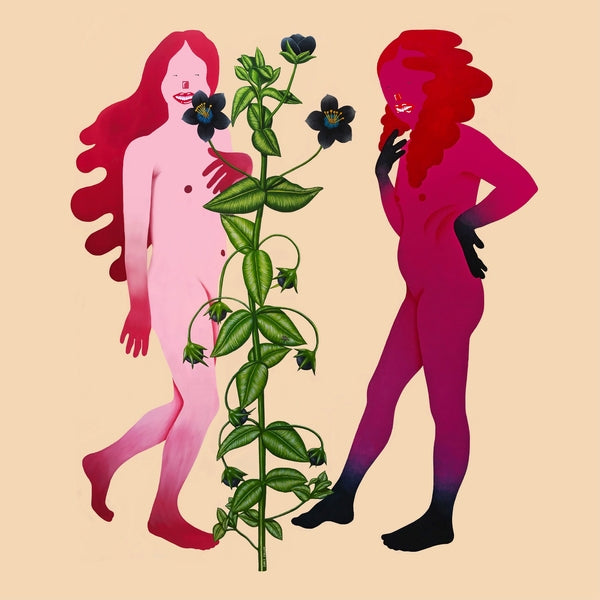 Va - Someone Like Me Vinyl Record