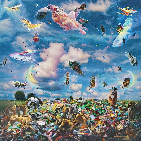 Va - yet Vinyl Record