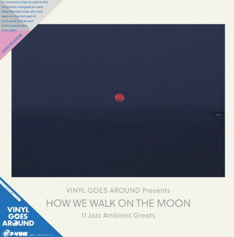 How We Walk On The Moon Vinyl Record